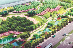 恒达招商_花开空港绿满新城 记河南郑州航空港中央生态公园园林景观绿化工程